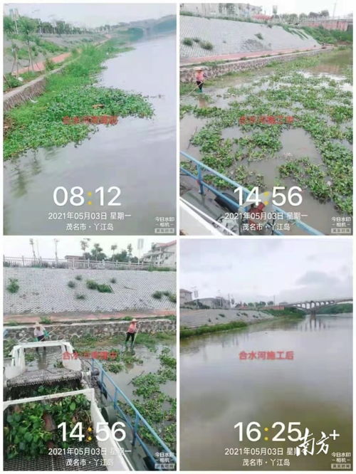 茂南水務局多措并舉，筑牢水污染防治監管防線