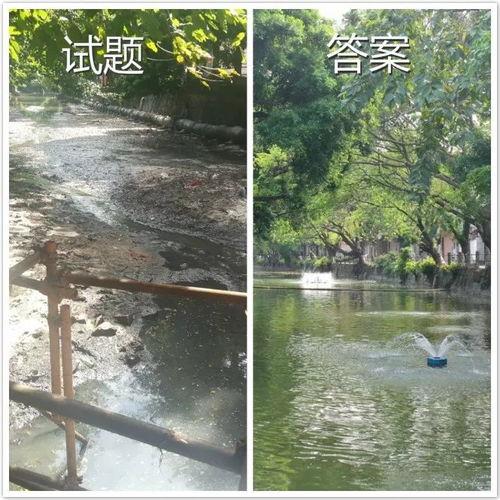 叮！這是東莞水污染治理的答卷，請您閱卷